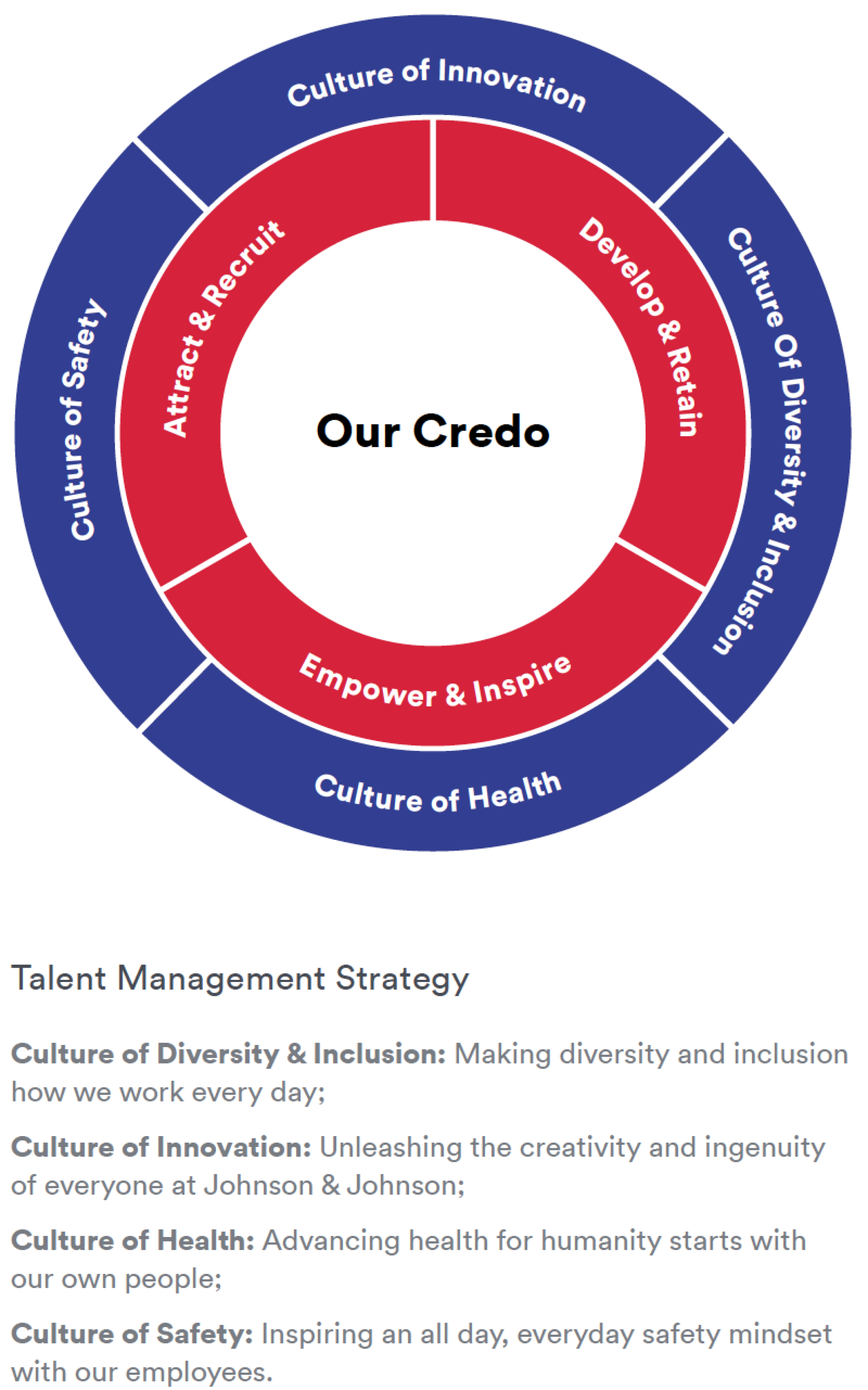 Talent Management Strategy